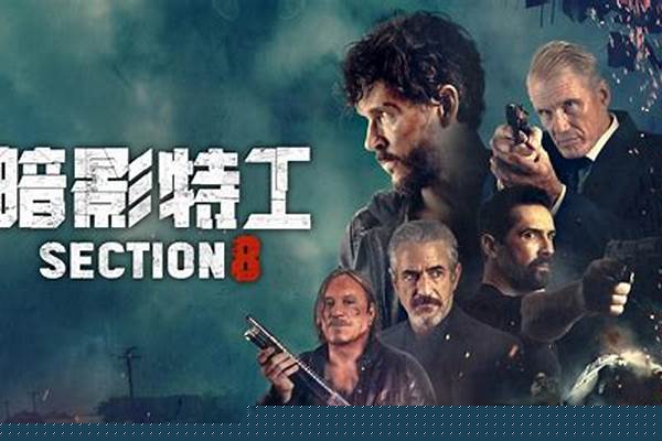 暗影特工 在线观看_刑天铭主演